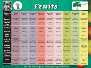 Fruits